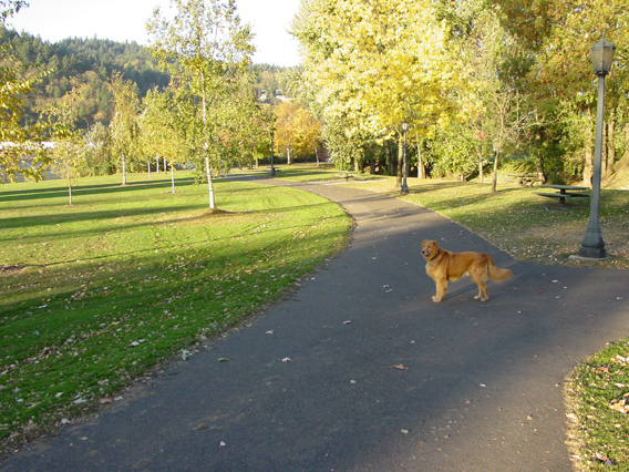 DSC00507