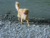 DSC00085