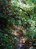 DSC00530