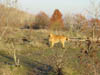 DSC00607