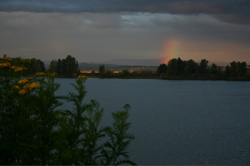 Rainbow250