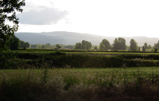 DSC00161