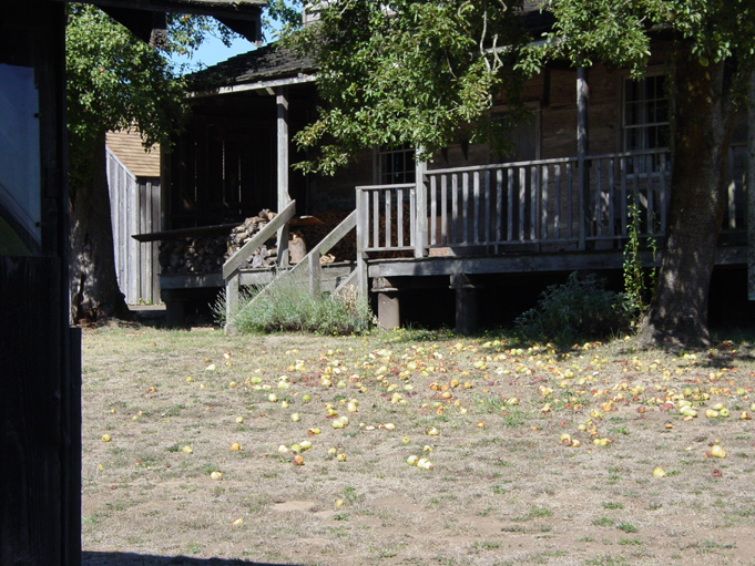 DSC00409