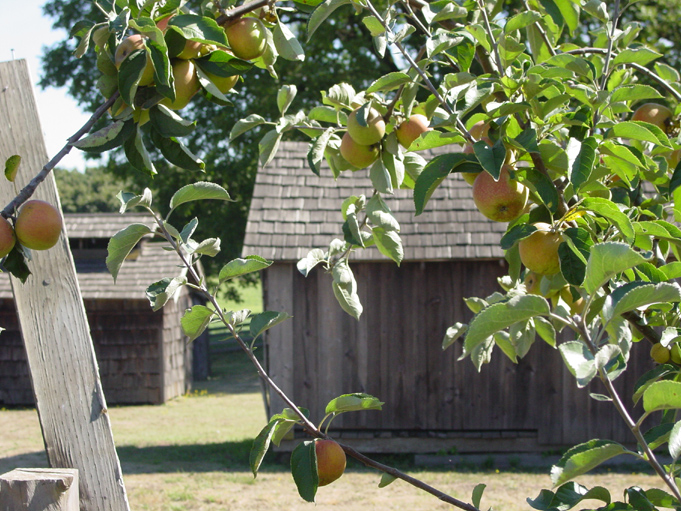 DSC00419