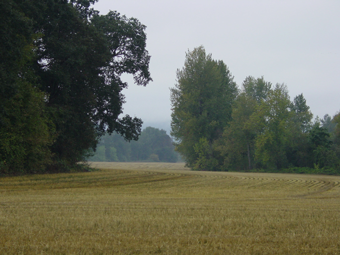 DSC00463
