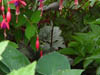 DSC00009