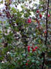 DSC00487