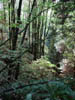 DSC00536