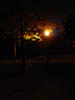 DSC00548
